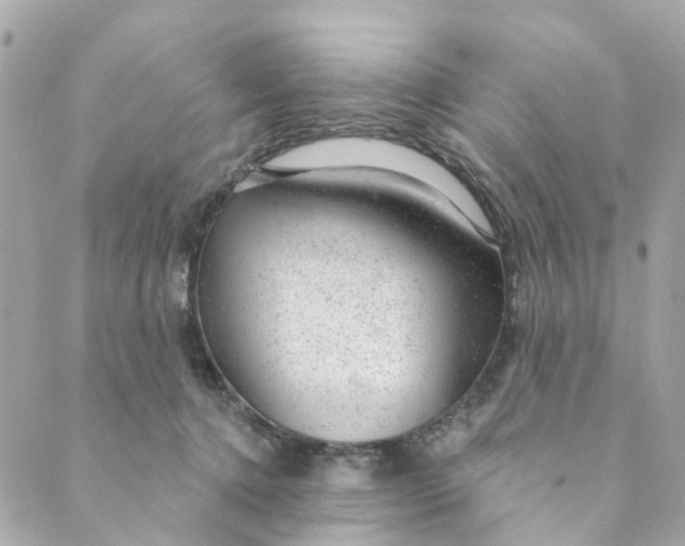 X0000088900368200706291510