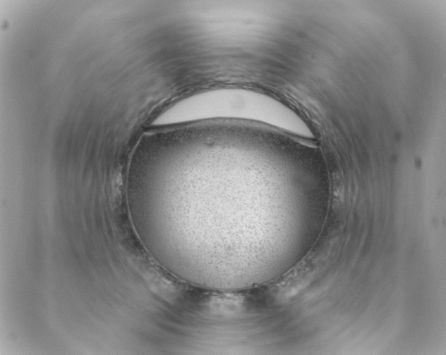 X0000088900369200706291510