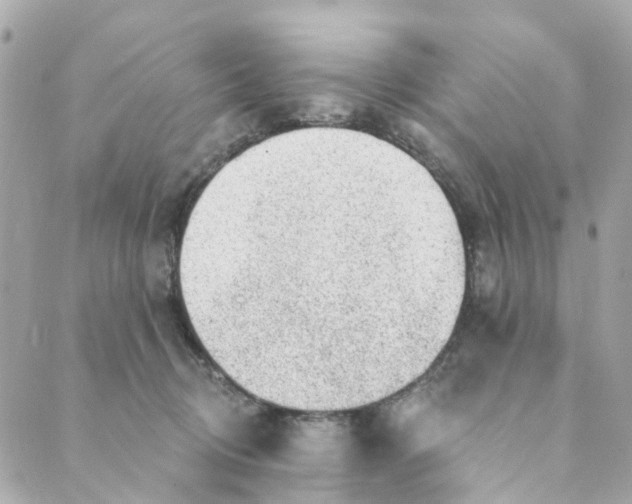 X0000088900370200706291510