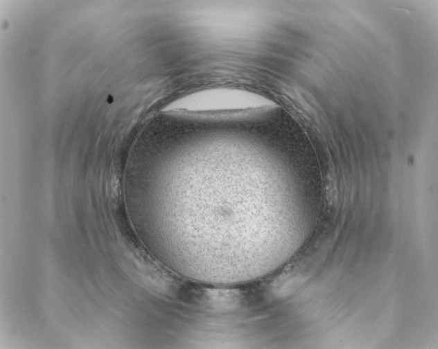 X0000088900371200706291510