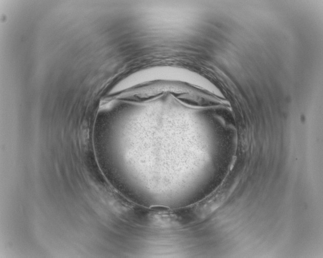 X0000088900372200706291510