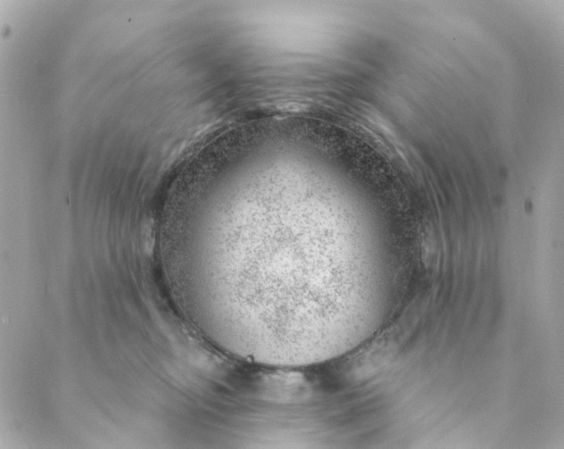 X0000088900374200706291510