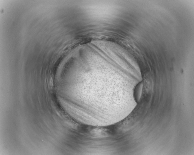 X0000088900375200706291510