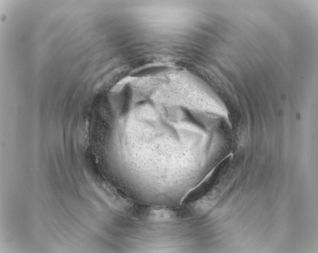 X0000088900376200706291510