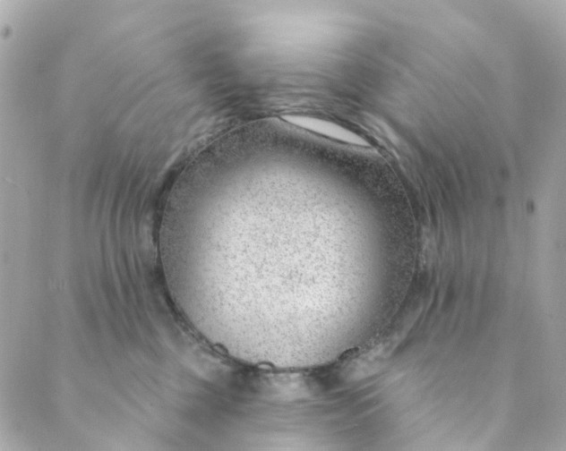 X0000088900377200706291510