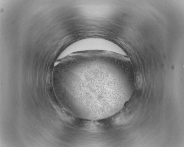 X0000088900379200706291510