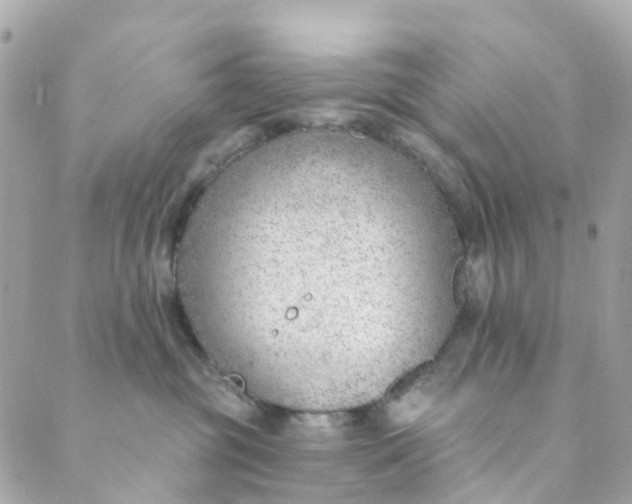 X0000088900381200706291510