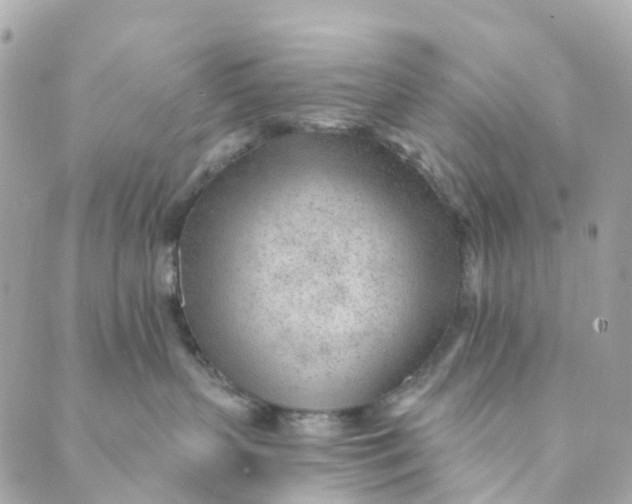 X0000088900383200706291511