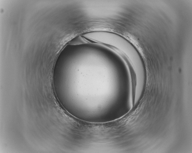 X0000088900385200706291510