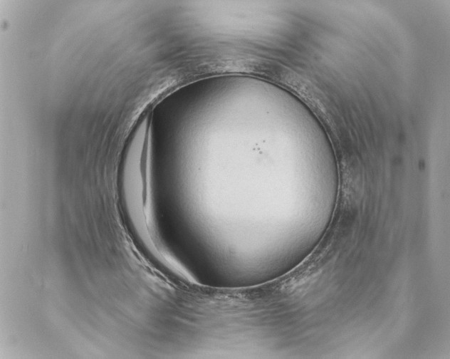 X0000088900386200706291510