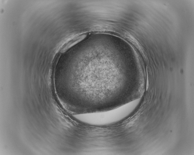 X0000088900387200706291510