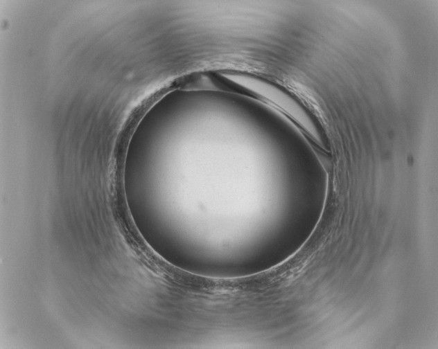 X0000088900388200706291510