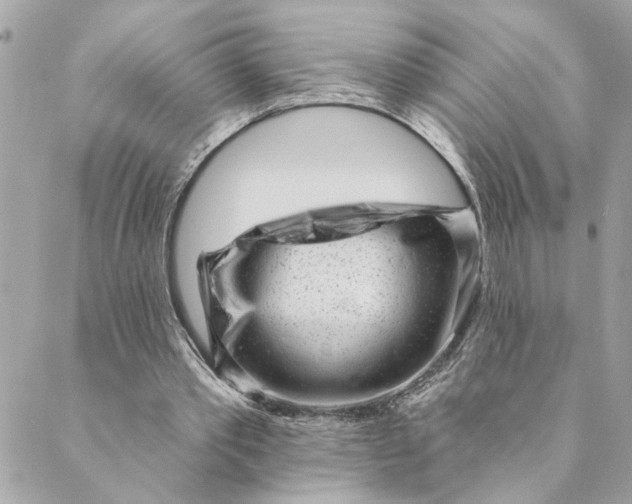 X0000088900389200706291510