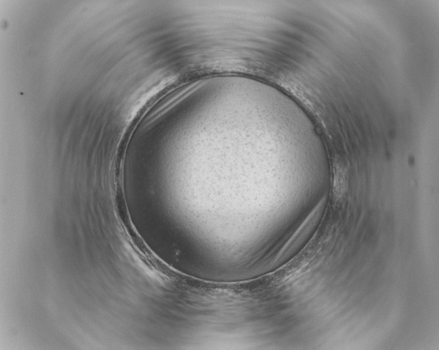 X0000088900390200706291510