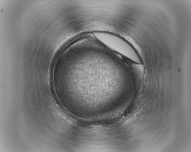 X0000088900391200706291510