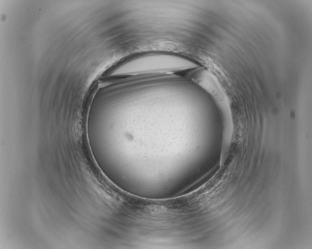 X0000088900392200706291510