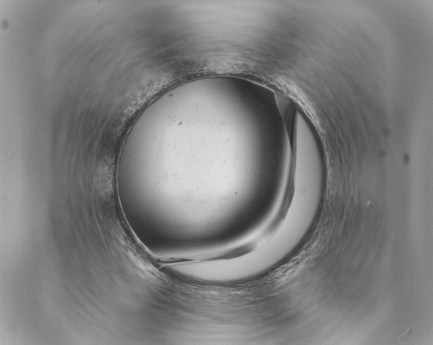 X0000088900393200706291510