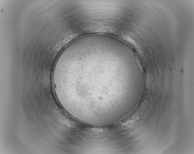 X0000088900394200706291510