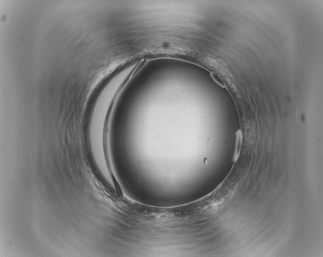 X0000088900395200706291510