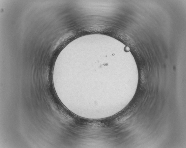 X0000088900396200706291510