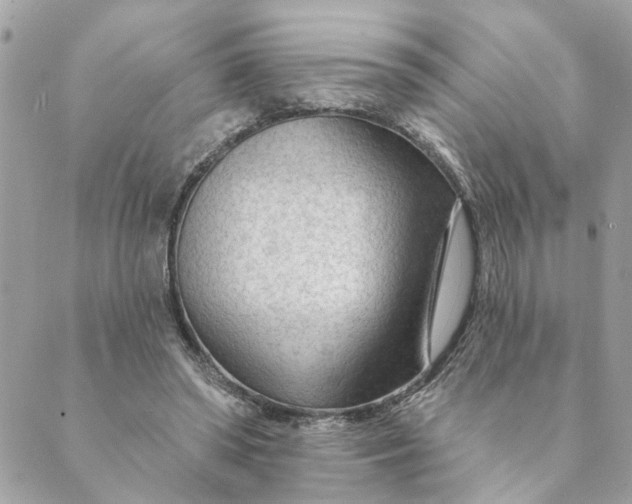 X0000088900398200706291510