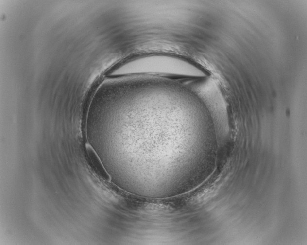 X0000088900399200706291510