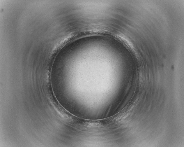 X0000088900401200706291510