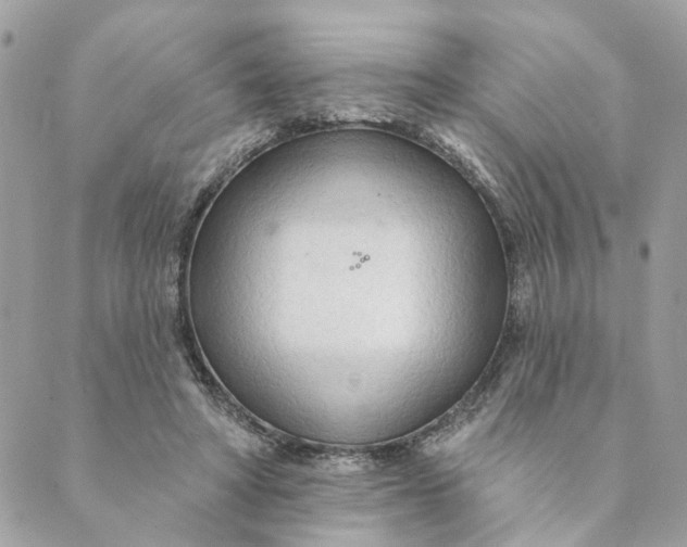 X0000088900402200706291509