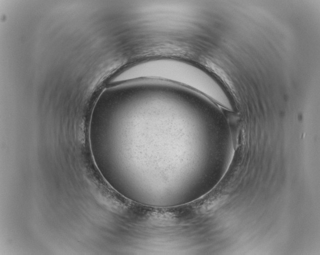 X0000088900403200706291509