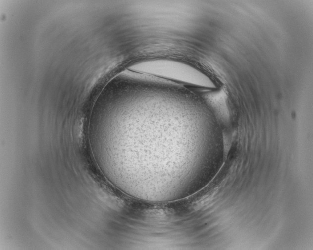 X0000088900404200706291509