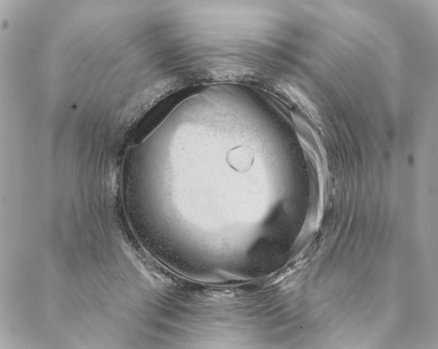 X0000088900405200706291509