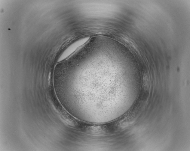 X0000088900406200706291509