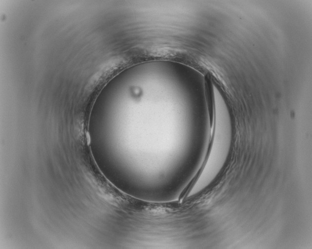 X0000088900407200706291509