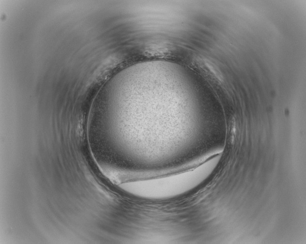 X0000088900408200706291509