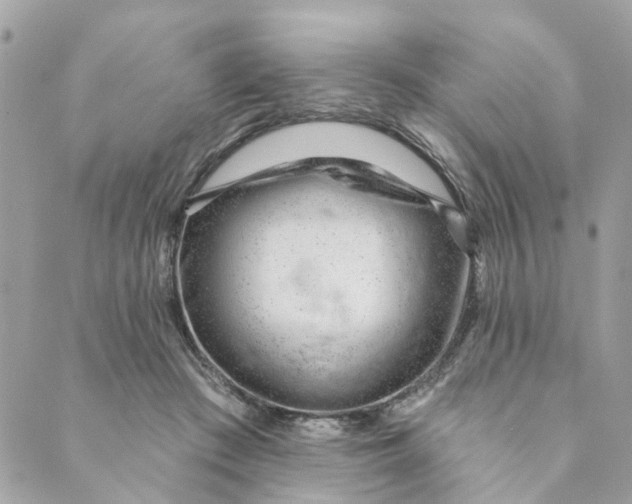 X0000088900409200706291509