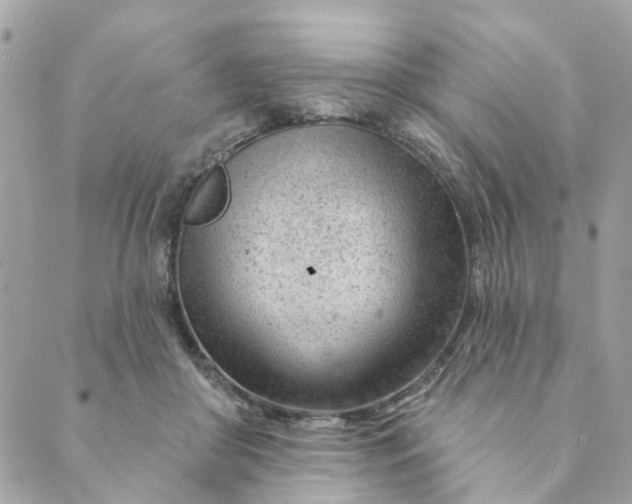 X0000088900410200706291509