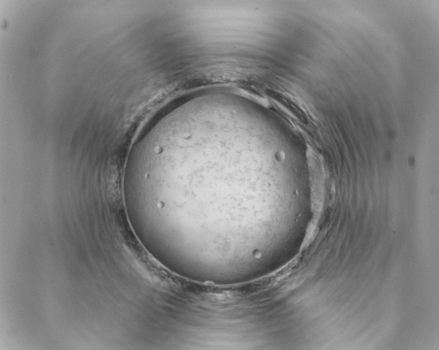 X0000088900411200706291509