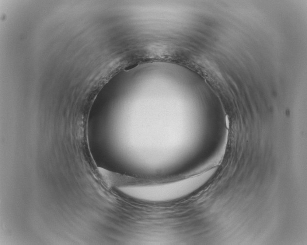 X0000088900413200706291509