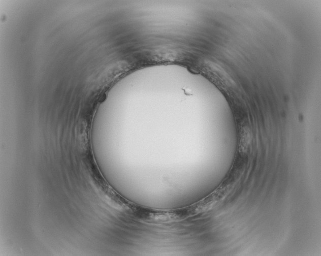 X0000088900414200706291509