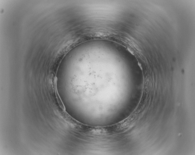 X0000088900415200706291509