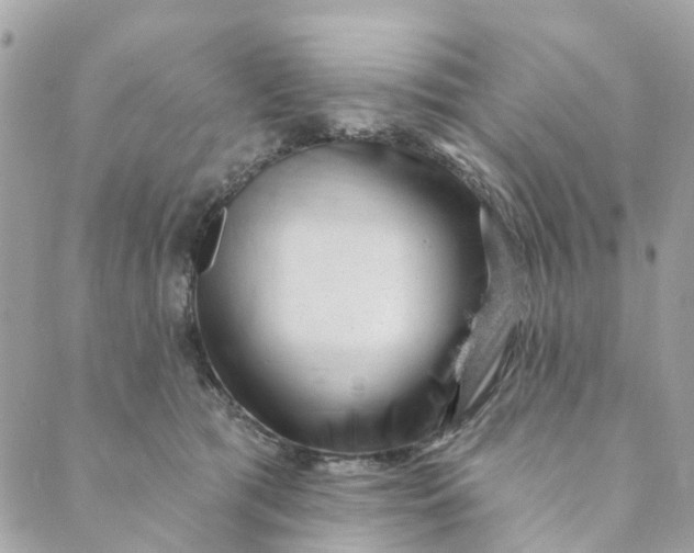 X0000088900417200706291509