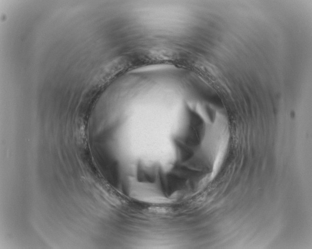 X0000088900418200706291509