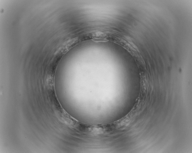 X0000088900419200706291509