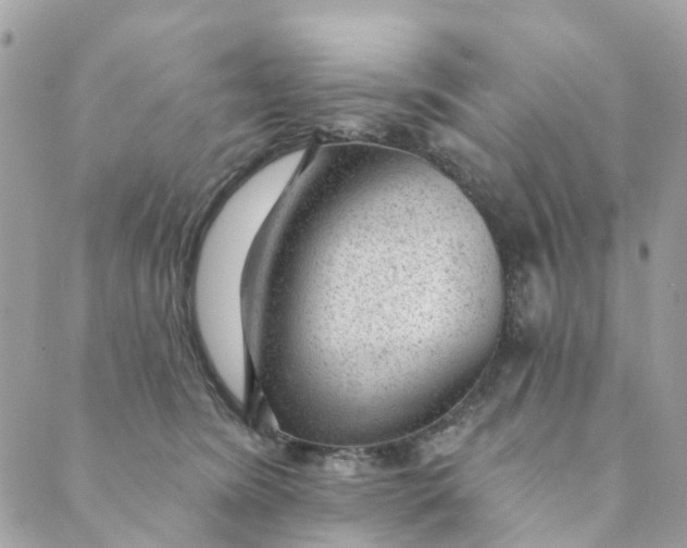 X0000088900420200706291509