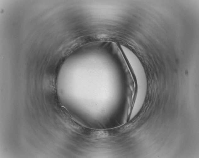 X0000088900421200706291509