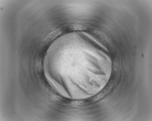 X0000088900422200706291509