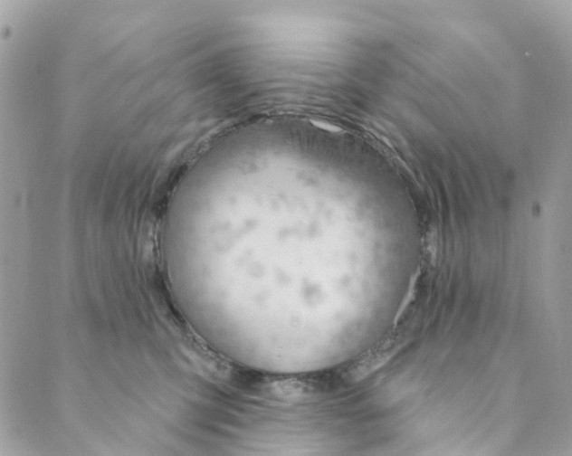 X0000088900423200706291509