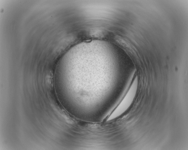 X0000088900424200706291509