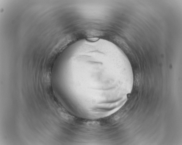 X0000088900426200706291509