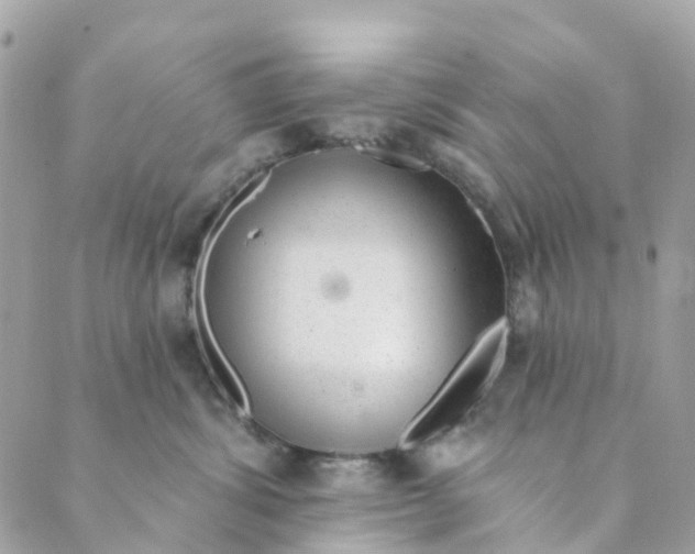 X0000088900428200706291509